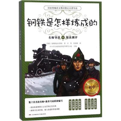 钢铁是怎样炼成的