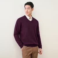 [纯羊毛]恒源祥羊毛衫秋季加厚V领针织衫中年男士打底大码毛衣