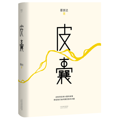 醉染图书皮囊9787201088945