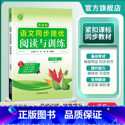 语文 六年级上 [正版]2024年秋小学语文实验班同步提优阅读与训练六年级上册人教版 小学生语文6年级上册RJ版同步专项