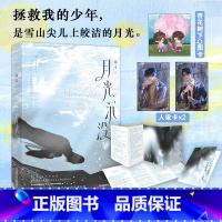 月光沉没 [正版]特签版 月光沉没 初禾著 精明商人荆寒屿×刑侦顾问雁椿 拯救我的少年是雪山尖儿上皎洁的月光 青春小说