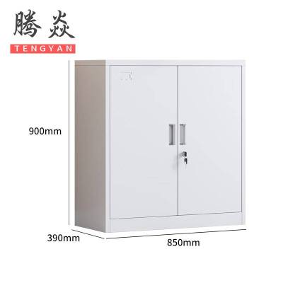 腾焱办公柜两门台