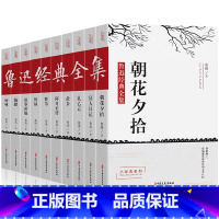 鲁迅经典全集 朝花夕拾等全10册(盒装) [正版]全10册鲁迅全集 书籍 经典作品集原著朝花夕拾狂人日记故乡呐喊小说经典