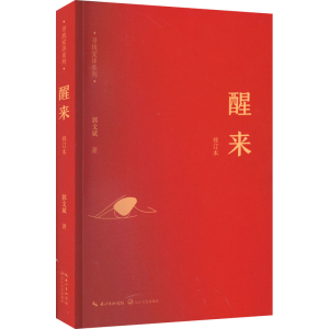 正版新书]醒来 修订本郭文斌9787570210534