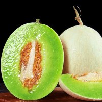 [西沛生鲜]正宗玉菇甜瓜 净重4.5斤 1-4个 冰淇淋新鲜水果当季白香瓜玉茹哈蜜瓜