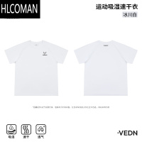 HLCOMAN短袖速干衣t恤男夏季冰丝篮球运动跑步健身训练透气上衣半袖V