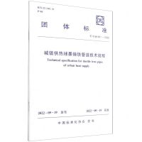 [N]城镇供热球墨铸铁管道技术规程(TCAS641-2022)/团体标准-1511239430