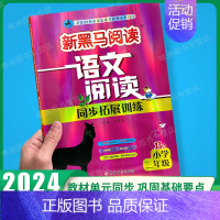 阅读同步拓展训练B版 小学三年级 [正版] 2024新黑马阅读三年级 英语听力训练 3年级上册下册全一册 小学三年级阅读