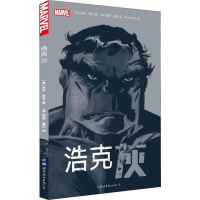音像浩克 灰(美)杰夫·洛布(Jeph Loeb)
