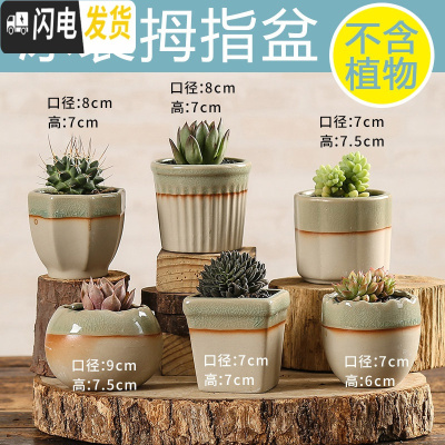 三维工匠多肉花盆陶瓷创意个性粗陶透气家用大口径盆栽小花盆 冰裂拇指盆(6个) 小花盆容器