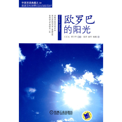 正版新书]欧巴罗的阳光王正元9787111300090