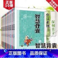 ❤️热卖❤️智慧背囊10辑套装(热卖) 初中通用 [正版]时文选粹智慧背囊作文素材时文选萃语文小学初中高中版课外阅读