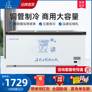 小鸭(xiaoya)冷柜商用岛柜大容量冷藏冷冻冰柜雪糕卧式冰箱超市玻璃展示柜BXS-1600BX