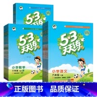 3本[语文+数学+英语]人教版 三年级上 [正版]2025春53天天练一二三四五六年级上册下册同步训练语文数学英语全套人