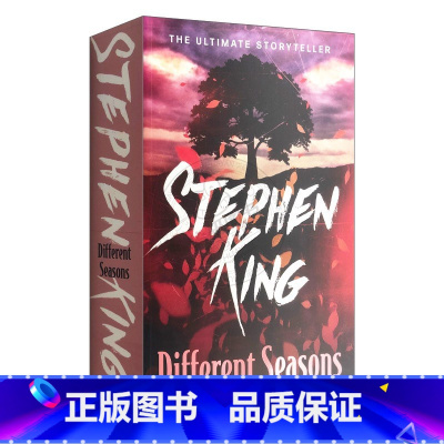 四季奇谭 [正版]灿烂千阳 英文原版小说 A Thousand Splendid Suns 英文版进口书The Kite