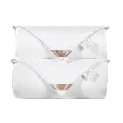 太湖雪100%优质桑蚕长丝蚕丝净重2+4春秋蚕丝子母被全棉斜纹面料纯色保暖被子被芯手工春秋被优等品沁柔型