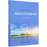 音像储能技术发展及路线图(精)陈海生、吴玉庭