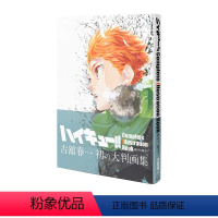 排球少年 原画集 [正版]排球少年十周年 排球少年原画集 排球极终指南 古馆春一 日文原版 排球少年十周年编年纪念册