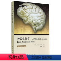 [正版] 神经生物学 从神经元到脑(原书第5版)(意)尼克尔斯杨雄里生命科学名著生物学心理学医学等专业教学参考用书
