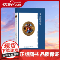 [央视网]艺术与观念14 米开朗基罗 文艺复兴 吴晓璠译 绘画雕塑建筑全才 艺术史论书籍HL