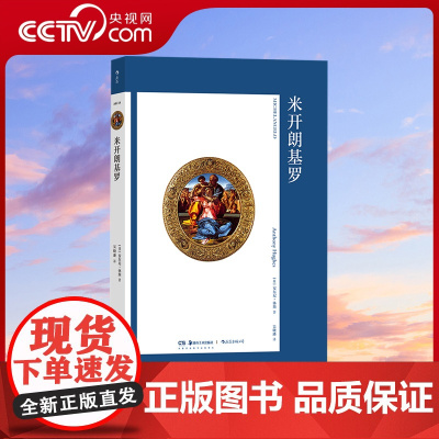 [央视网]艺术与观念14 米开朗基罗 文艺复兴 吴晓璠译 绘画雕塑建筑全才 艺术史论书籍HL
