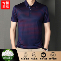 2024专柜正品大牌100桑蚕丝T恤夏季新款冰桑蚕丝短袖T恤男士商务休闲翻领POLO衫