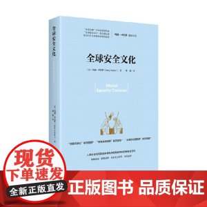 全球安全文化 玛丽·卡尔多 著 政治