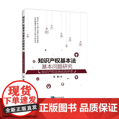 知识产权基本法基本问题研究: 知识产权法典化的序章