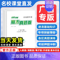 数学[人教版] 七年级下 [正版]广西专版2024版期末真题卷七年级八年级下册测试卷全套语文数学英语物理人教版湘教粤沪外