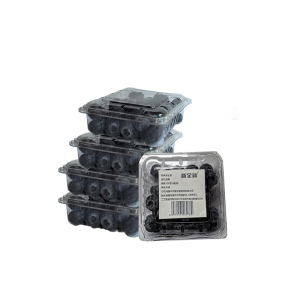 新全新蓝莓100克*5盒/份