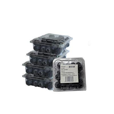 新全新蓝莓100克*5盒/份