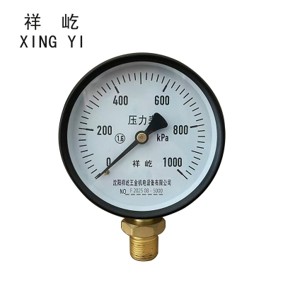 祥屹 风表(压力表) Y100 1.6级 块