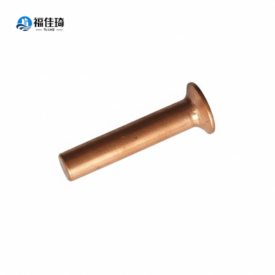 福佳琦 沉头铆钉 M2*4 个