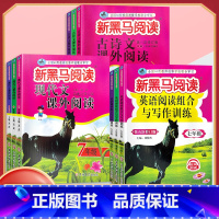 英语阅读与写作 八年级/初中二年级 [正版]2024新版新黑马阅读 现代文课外阅读 初中七7八8九9年级上下册通用 初中