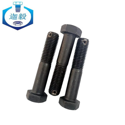 迦毅六角头木干带孔发黑螺栓-A,B级M22x170mm个