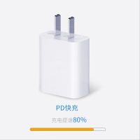 雷森旭 快充头+闪充线1米套装 一套