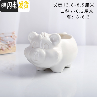 三维工匠卡通可爱萌多肉花盆小号植物白色陶瓷创意简约拇指盆 FP大熊 小花盆容器