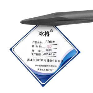 冰将 电锤尖扁凿六角镐尖工具冲击钻头 个