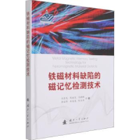 音像铁磁材料缺陷的磁记忆检测技术(精)王长龙,陈海龙,马晓琳 等