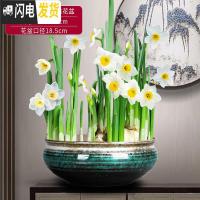 三维工匠新中式禅意铜钱水仙花专用水培花盆载植物好养创意陶瓷室内个性 翡翠金玉满堂水培花盆(不含水仙) 20-22花盆容器