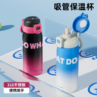 网红保温杯耐高温316防摔校园男女学生水杯外出家居便携吸管杯子