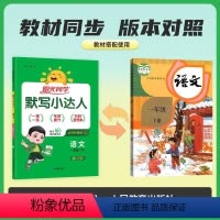 [2024春]一年级下册 小学通用 [正版]2024新版阳光同学默写小达人语文一年级二年级三四五六年级下册人教版 小学语