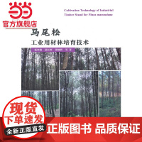 马尾松工业 用材林培育.杨章旗 等著9787503880322中国林业出版社