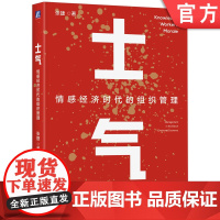 正版 士气:情感经济时代的组织管理 张捷 领导力 AI 情感 情绪 情感经济 情绪成本 996 IBM 联想 华为