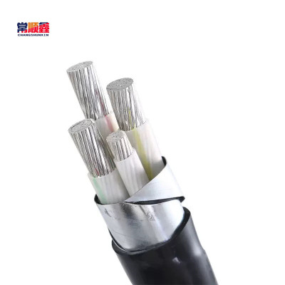 常顺鑫 低压铝芯电缆ZC-YJLV22 4×150 米