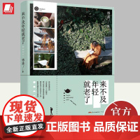 来不及年轻就老瞭 悟澹 暖心之作 江南的禅意时光 青春文学励志书籍书排行榜 9787218113821 广东人民出版社