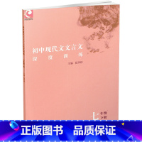 初中现代文文言文深度训练7年级下 七年级下 [正版]2023春 初中现代文文言文深度训练 通用本 七年级下册 7下 初中