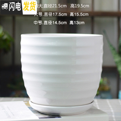 三维工匠北欧简约花盆陶瓷大号带托盘白色绿萝盆栽室内多肉盆 梯形亮光白圈纹 中等花盆容器