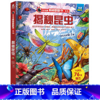 揭秘昆虫 [正版]揭秘系列儿童翻翻书 揭秘昆虫儿童读物3一6到7岁以上趣味百科全书3d立体大百科全套绘本科普科学漫画小学