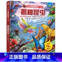 揭秘昆虫 [正版]揭秘系列儿童翻翻书 揭秘昆虫儿童读物3一6到7岁以上趣味百科全书3d立体大百科全套绘本科普科学漫画小学